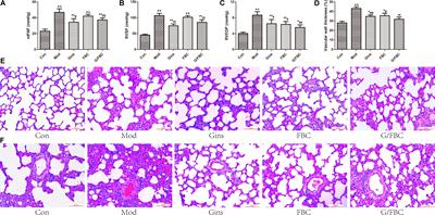 Ginseng Compatibility Environment Attenuates Toxicity and Keeps Efficacy in <mark class="highlighted">Cor</mark> Pulmonale Treated by Fuzi Beimu Incompatibility Through the Coordinated Crosstalk of PKA and Epac Signaling Pathways